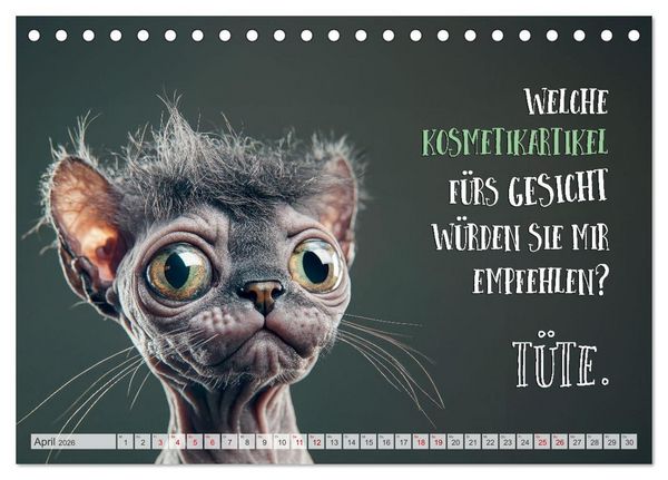 Produktbild: Katzenlogik - Wenn Blicke miauen k&ouml;nnten (Tischkalender 2026 DIN A5 quer), CALVENDO Monatskalender