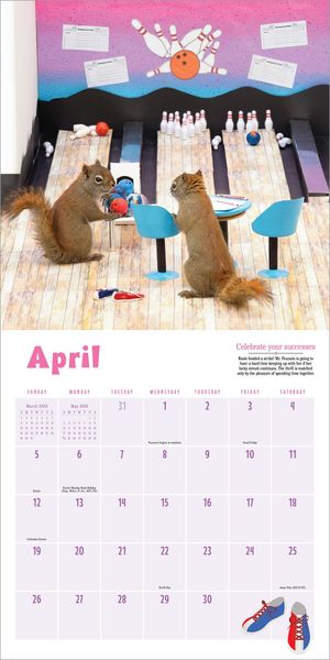 Produktbild: Secret Life of Squirrels Wall Calendar 2026