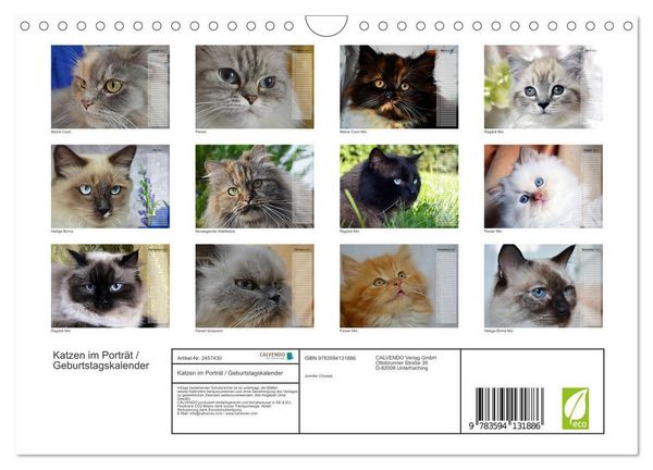 Produktbild: Katzen im Portr&auml;t / Geburtstagskalender (Wandkalender 2027 DIN A4 quer), CALVENDO Monatskalender