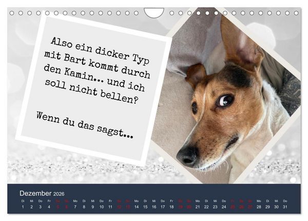 Produktbild: Ratonero Bodeguero Andaluz (Wandkalender 2026 DIN A4 quer), CALVENDO Monatskalender