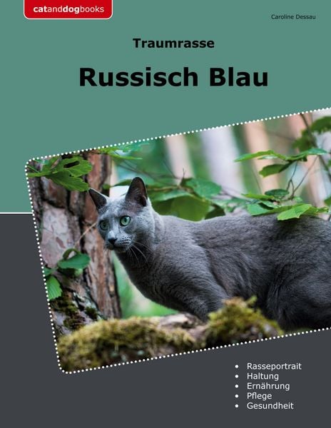 Traumrasse Russisch Blau, Taschenbuch von Caroline Dessau, BoD – Books on Demand, 9783759723765