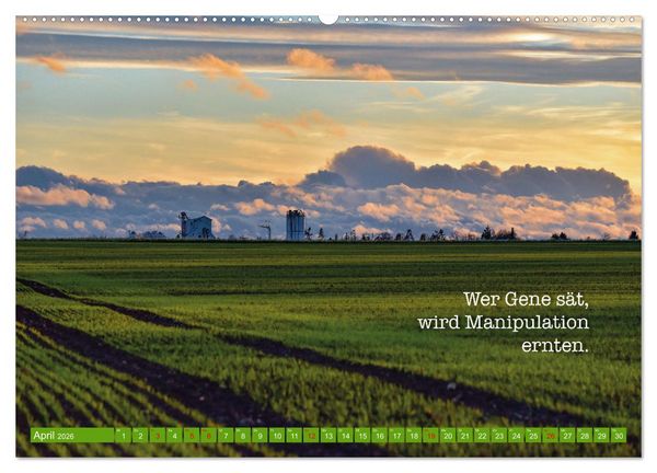 Produktbild: Rollentausch &ndash; Bebilderte Wortspielereien (Wandkalender 2026 DIN A2 quer), CALVENDO Monatskalender