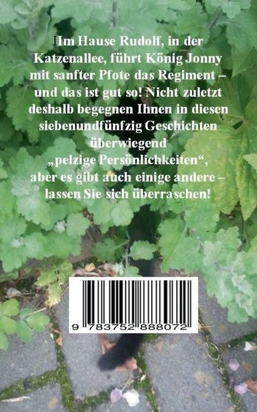 Produktbild: Vier schwarze Pf&ouml;tchen und ein langer Schwanz
