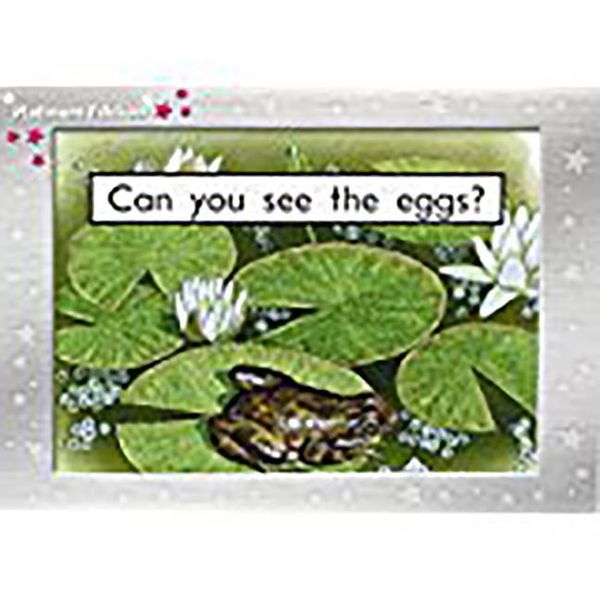 Produktbild: Can You See the Eggs?