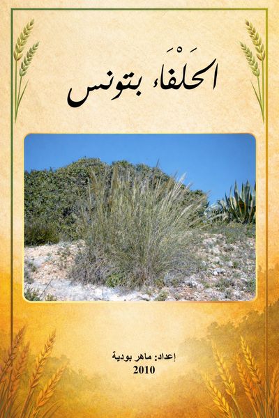 Produktbild: الحلفاء بتونس