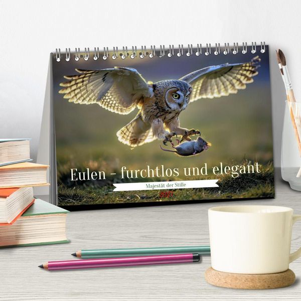 Produktbild: Eulen - furchtlos und elegant (Tischkalender 2027 DIN A5 quer), CALVENDO Monatskalender