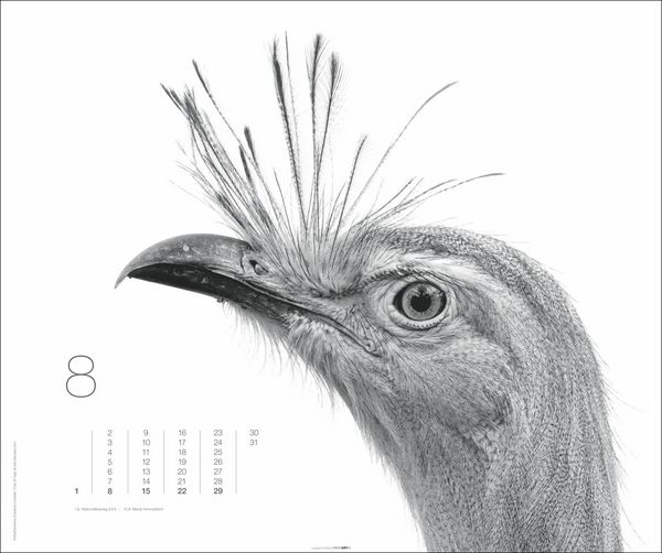 Produktbild: Black & White Animals 2027