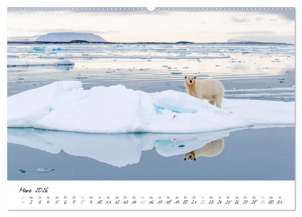 Produktbild: Heike Odermatt: 80&deg; Nord - Fotografien von Spitzbergen und Nordaustland (Wandkalender 2026 DIN A2 quer), CALVENDO Monatskalender
