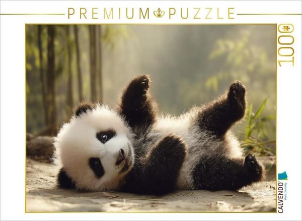 CALVENDO Puzzle Wenn kleine Pfoten große Herzen erobern | 1000 Teile Lege-Größe 64x48cm Foto-Puzzle für glückliche Stunden, Sonstige von , Calvendo