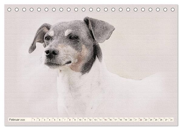 Produktbild: Bodeguero Andaluz 2026 (Tischkalender 2026 DIN A5 quer), CALVENDO Monatskalender