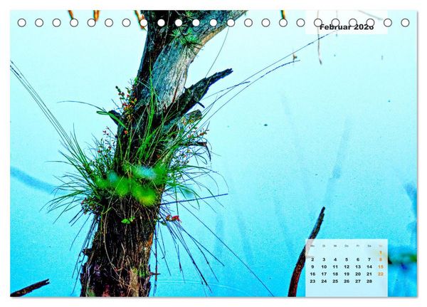 Produktbild: Niedersachsens Moorlandschaften - Das Pietzmoor, Schneverdingen (Tischkalender 2026 DIN A5 quer), CALVENDO Monatskalender