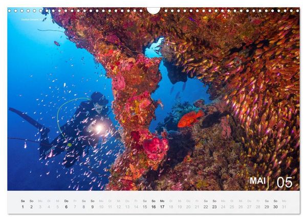 Produktbild: Die sch&ouml;nsten Korallenriffe zum Tauchen in &Auml;gypten (Wandkalender 2027 DIN A3 quer), CALVENDO Monatskalender