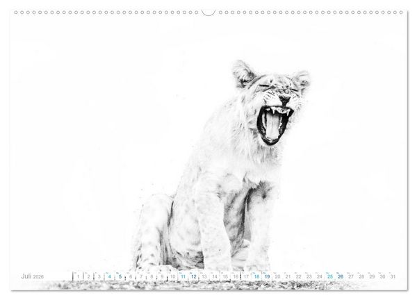 Produktbild: AFRIKA - Schwarz-weiss Fotografien im modernen "High Key" Look (Wandkalender 2026 DIN A2 quer), CALVENDO Monatskalender