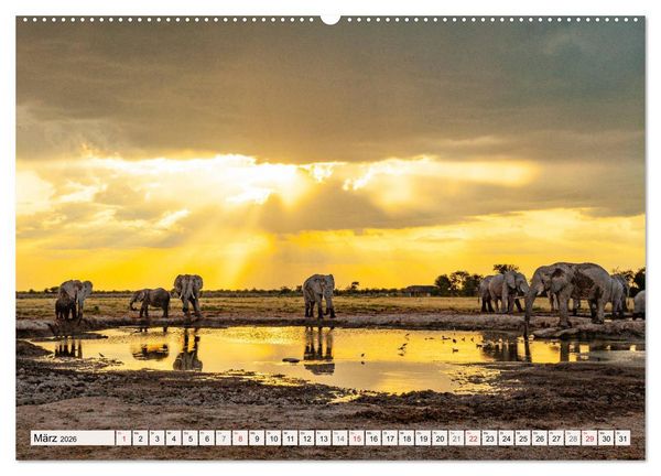 Produktbild: Wildnis Okavango-Delta (hochwertiger Premium Wandkalender 2026 DIN A2 quer), Kunstdruck in Hochglanz