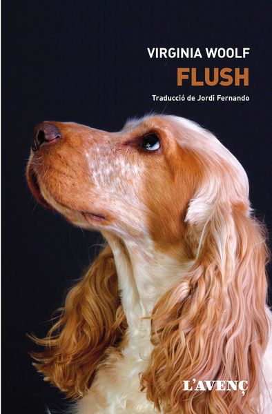 Produktbild: Flush