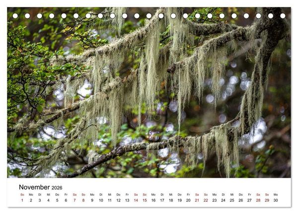 Produktbild: Patagonien, Tierra del Fuego: Am Rand der Welt (Tischkalender 2026 DIN A5 quer), CALVENDO Monatskalender