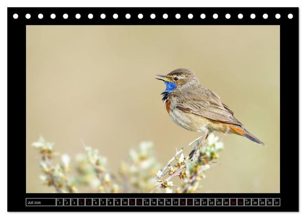 Produktbild: Niederrheinische Vogelwelt (Tischkalender 2026 DIN A5 quer), CALVENDO Monatskalender