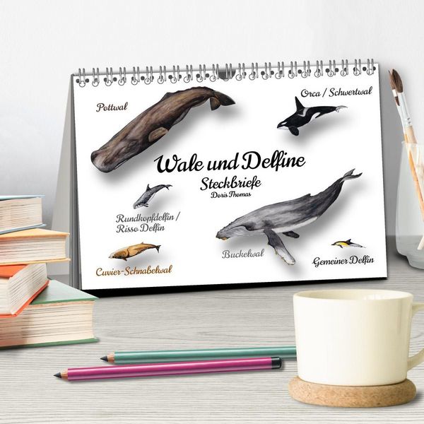 Produktbild: Wale und Delfine Steckbriefe (Tischkalender 2027 DIN A5 quer), CALVENDO Monatskalender