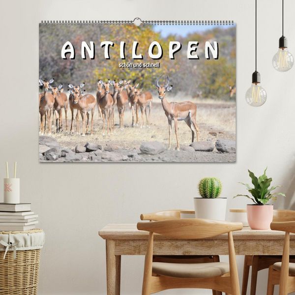 Produktbild: Antilopen, sch&ouml;n und schnell (Wandkalender 2026 DIN A2 quer), CALVENDO Monatskalender