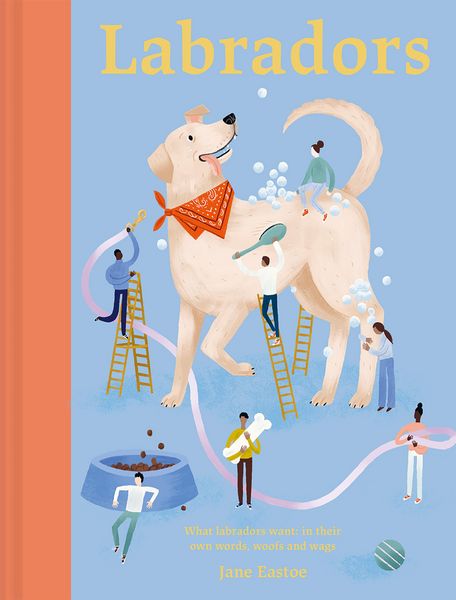 Produktbild: Labradors