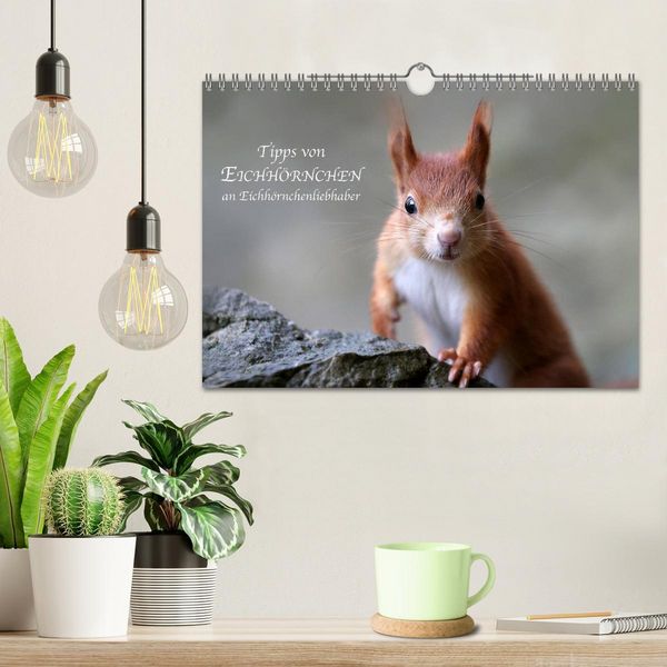Produktbild: Tipps von Eichh&ouml;rnchen an Eichh&ouml;rnchenliebhaber (Wandkalender 2026 DIN A4 quer), CALVENDO Monatskalender