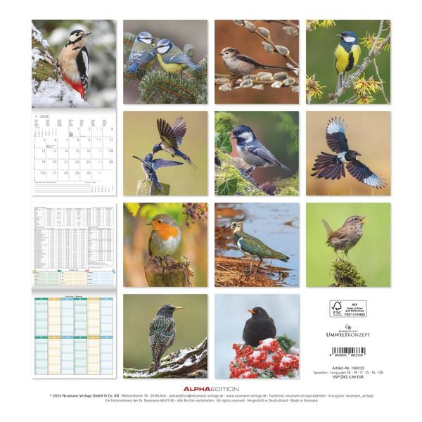 Produktbild: Einheimische Vögel 2026 - Broschürenkalender 30x30 cm (30x60 geöffnet) - Kalender mit Platz für Notizen - Birds - Bildkalender - Wandkalender - Vogelk