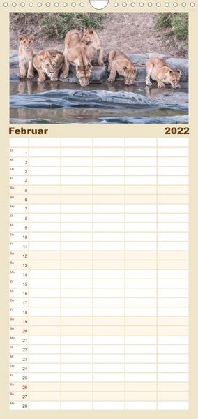 Produktbild: L&ouml;wen - Raubkatzen Afrikas - Familienplaner hoch (Wandkalender 2022 , 21 cm x 45 cm, hoch)