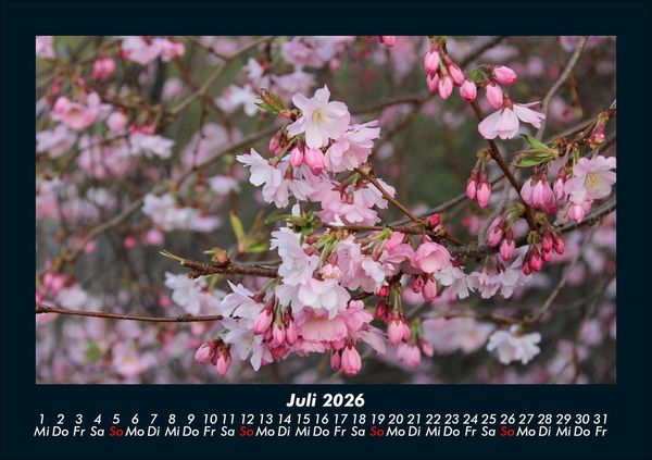 Produktbild: Blumenkalender 2026 Fotokalender DIN A5