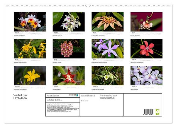 Produktbild: Vielfalt der Orchideen (Wandkalender 2026 DIN A2 quer), CALVENDO Monatskalender