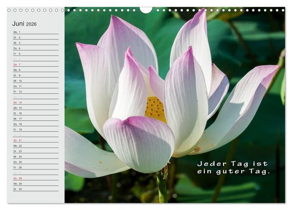 Produktbild: BUDDHA Buddhistische Weisheiten (Wandkalender 2026 DIN A3 quer), CALVENDO Monatskalender