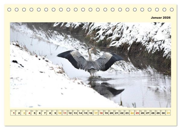 Produktbild: Unser Land im Norden (Tischkalender 2026 DIN A5 quer), CALVENDO Monatskalender
