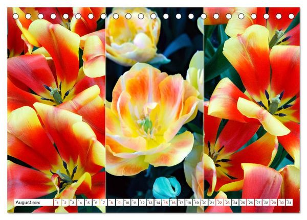 Produktbild: Tulpen - kunterbunte Collagen (Tischkalender 2026 DIN A5 quer), CALVENDO Monatskalender