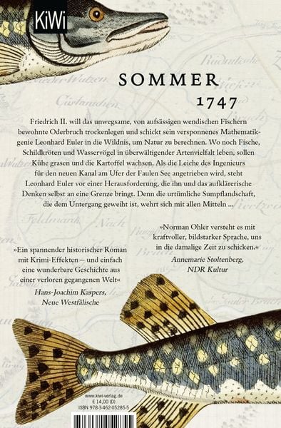 Produktbild: Die Gleichung des Lebens