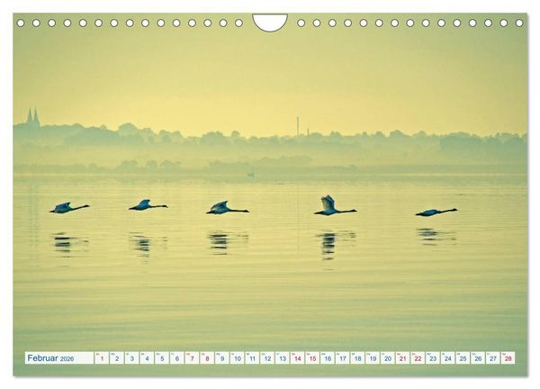 Produktbild: Flensburg Fjord (Wandkalender 2026 DIN A4 quer), CALVENDO Monatskalender