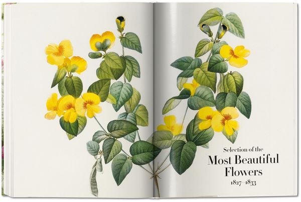 Produktbild: Redout&eacute;. The Book of Flowers