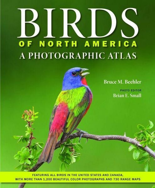 Produktbild: Birds of North America