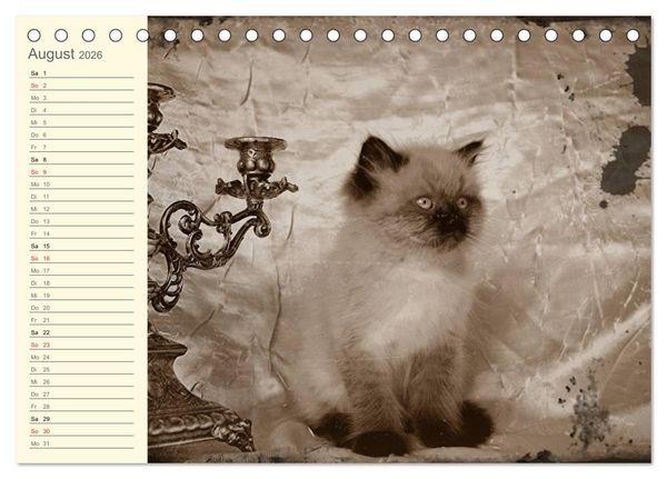 Produktbild: Oma's Katzenkalender 2026 (Tischkalender 2026 DIN A5 quer), CALVENDO Monatskalender
