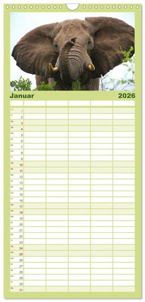Produktbild: Familienplaner 2026 - Botswana- Pirschfahrt mit Garantie auf Wildlife mit 5 Spalten (Wandkalender, 21 x 45 cm) CALVENDO