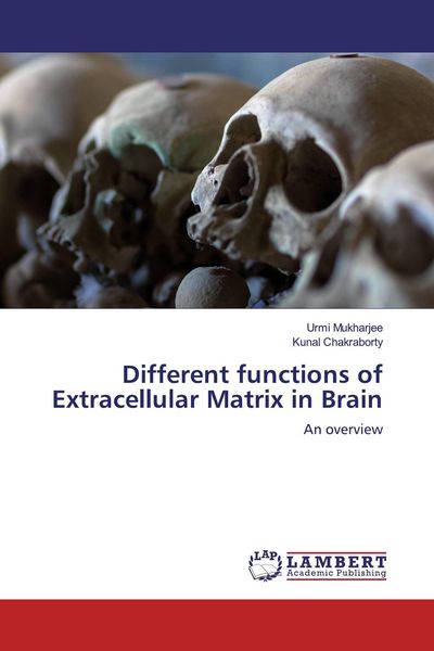 Produktbild: Different functions of Extracellular Matrix in Brain