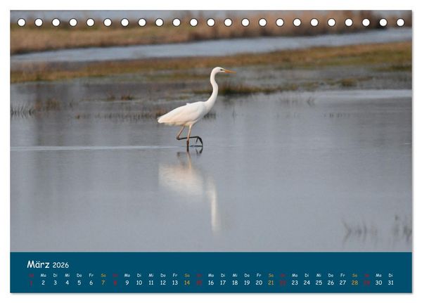 Produktbild: Naturschutzgebiet W&uuml;mme (Tischkalender 2026 DIN A5 quer), CALVENDO Monatskalender