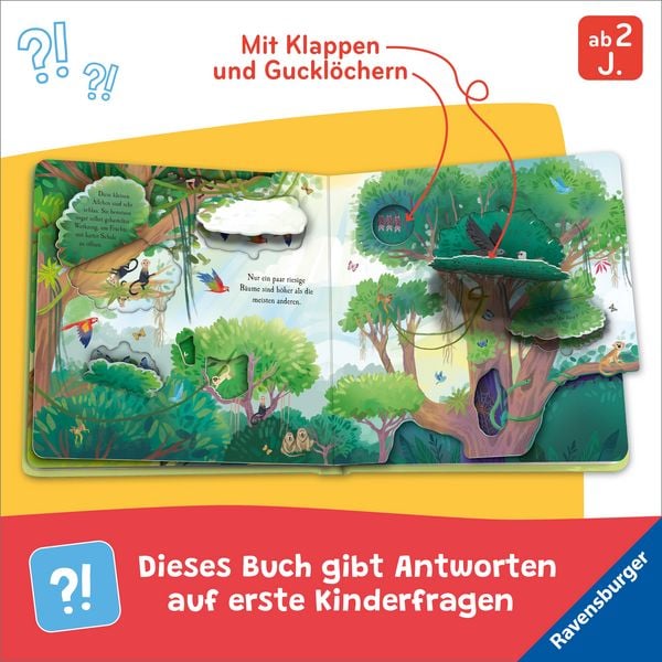 Produktbild: Auf Entdeckungstour: Im Dschungel