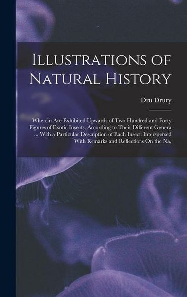Produktbild: Illustrations of Natural History: Wherein Are Exhibited Upwards of Two Hundred and Forty Figures of Exotic Insects, According to Their Different Gener