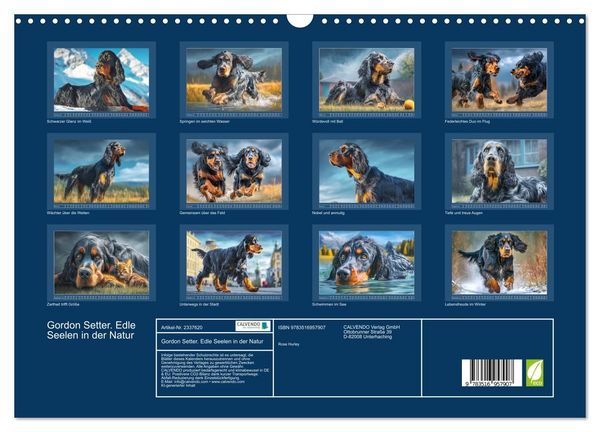 Produktbild: Gordon Setter. Edle Seelen in der Natur (Wandkalender 2027 DIN A3 quer), CALVENDO Monatskalender