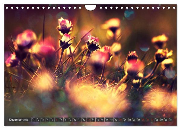 Produktbild: G&auml;nsebl&uuml;mchen Poesie (Wandkalender 2026 DIN A4 quer), CALVENDO Monatskalender