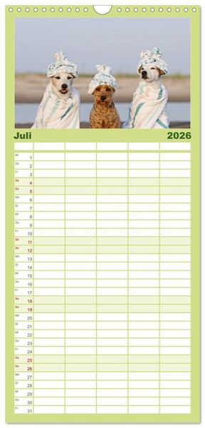 Produktbild: Familienplaner 2026 - Die Parson-Russell-Terrier ...mit neuen Abenteuern aus der Hundeknipserei mit 5 Spalten (Wandkalender, 21 x 45 cm) CALVENDO