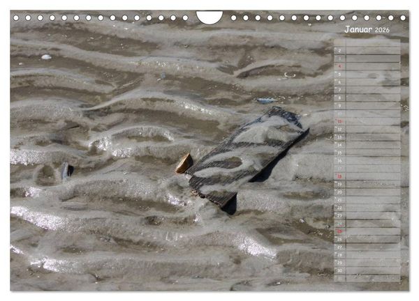 Produktbild: Strandspaziergang / Geburtstagskalender (Wandkalender 2026 DIN A4 quer), CALVENDO Monatskalender