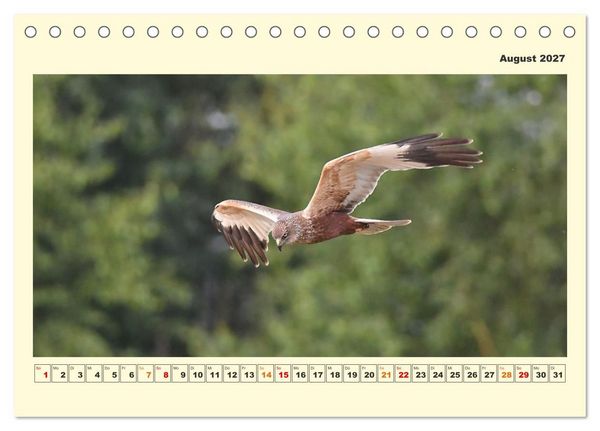 Produktbild: Tierwelt der W&uuml;mmeniederung (Tischkalender 2027 DIN A5 quer), CALVENDO Monatskalender
