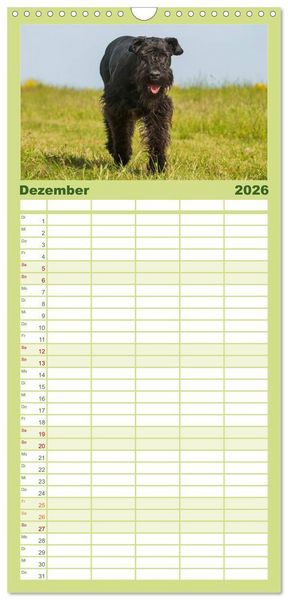 Produktbild: Familienplaner 2026 - Treuer Freund Riesenschnauzer mit 5 Spalten (Wandkalender, 21 x 45 cm) CALVENDO
