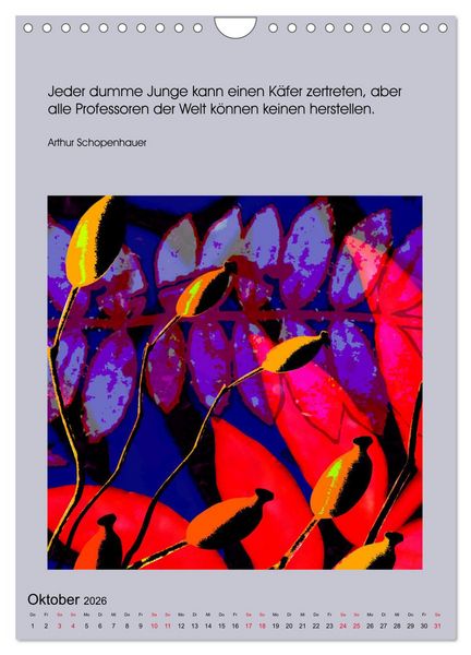Produktbild: NaturVisionen (Wandkalender 2026 DIN A4 hoch), CALVENDO Monatskalender