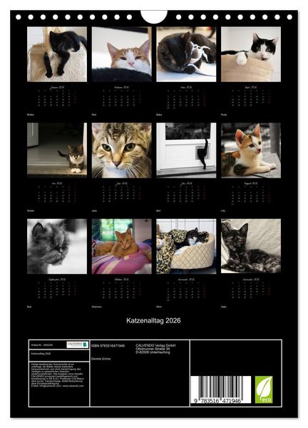 Produktbild: Katzenalltag 2026 (Wandkalender 2026 DIN A4 hoch), CALVENDO Monatskalender